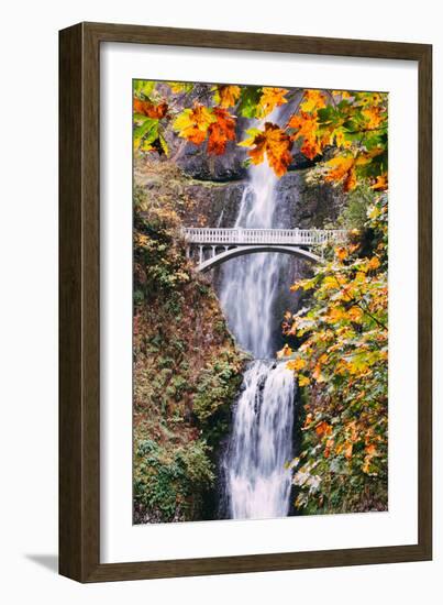 Autumn at Multnomah Falls, Portrait, Hood River, Columbia River Gorge, Oregon-Vincent James-Framed Photographic Print