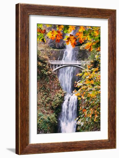 Autumn at Multnomah Falls, Portrait, Hood River, Columbia River Gorge, Oregon-Vincent James-Framed Photographic Print