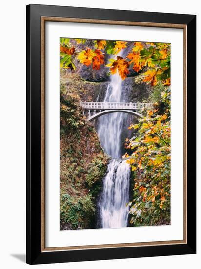 Autumn at Multnomah Falls, Portrait, Hood River, Columbia River Gorge, Oregon-Vincent James-Framed Photographic Print