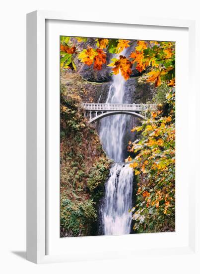 Autumn at Multnomah Falls, Portrait, Hood River, Columbia River Gorge, Oregon-Vincent James-Framed Photographic Print