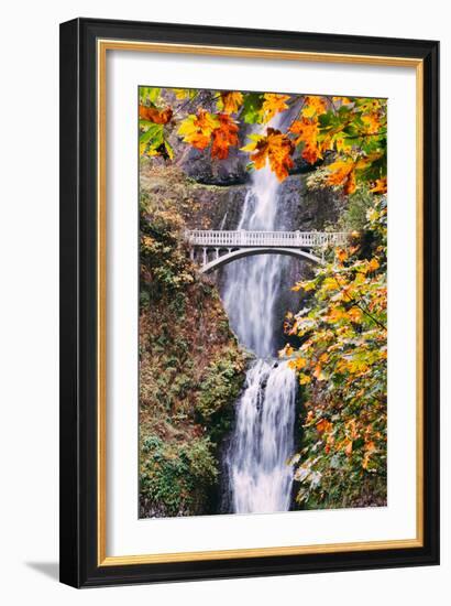 Autumn at Multnomah Falls, Portrait, Hood River, Columbia River Gorge, Oregon-Vincent James-Framed Photographic Print