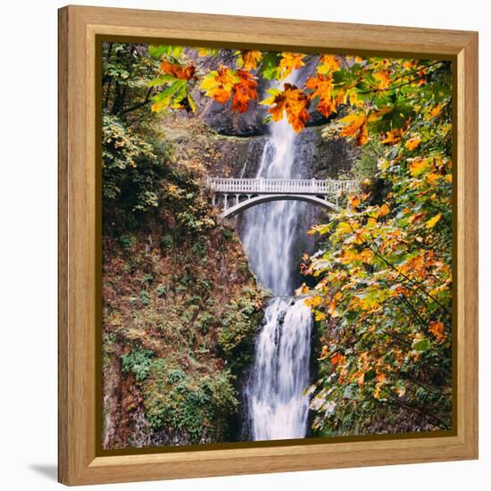 Autumn at Multnomah Falls, Square, Hood River, Columbia River Gorge, Oregon-Vincent James-Framed Premier Image Canvas