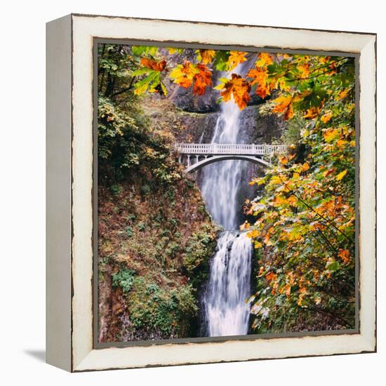 Autumn at Multnomah Falls, Square, Hood River, Columbia River Gorge, Oregon-Vincent James-Framed Premier Image Canvas