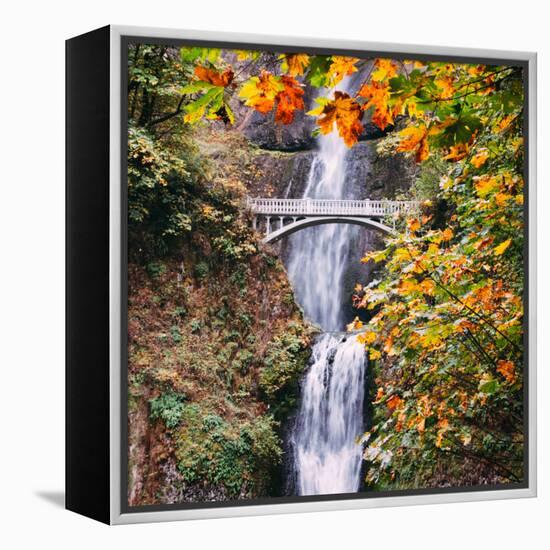 Autumn at Multnomah Falls, Square, Hood River, Columbia River Gorge, Oregon-Vincent James-Framed Premier Image Canvas