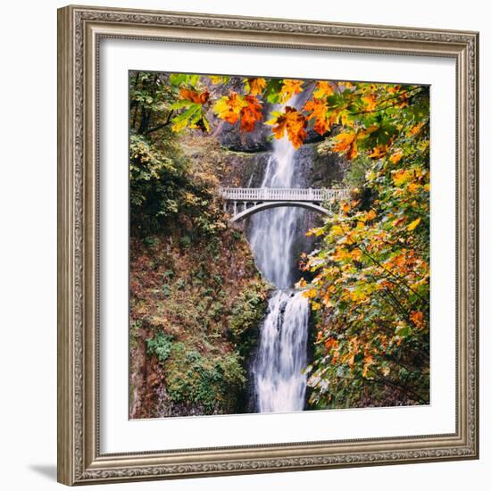 Autumn at Multnomah Falls, Square, Hood River, Columbia River Gorge, Oregon-Vincent James-Framed Photographic Print