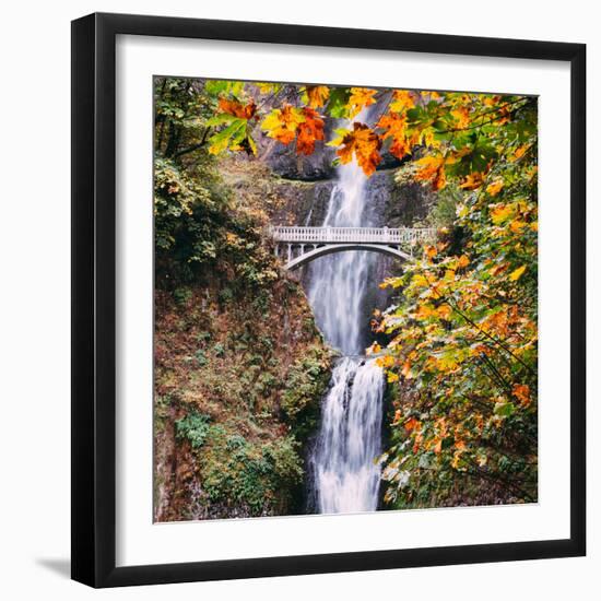 Autumn at Multnomah Falls, Square, Hood River, Columbia River Gorge, Oregon-Vincent James-Framed Photographic Print