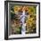 Autumn at Multnomah Falls, Square, Hood River, Columbia River Gorge, Oregon-Vincent James-Framed Photographic Print