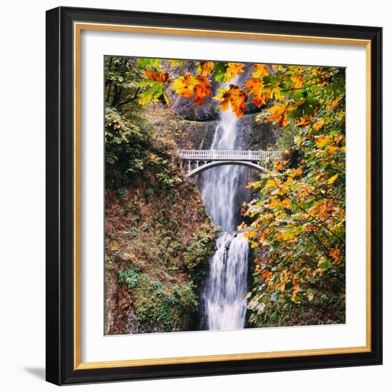 Autumn at Multnomah Falls, Square, Hood River, Columbia River Gorge, Oregon-Vincent James-Framed Photographic Print