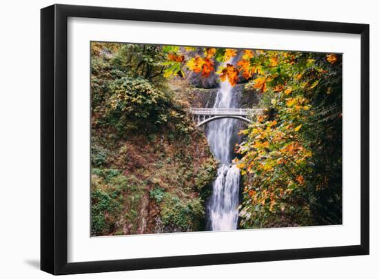 Autumn at Multnomah Falls Wide, Hood River, Columbia River Gorge, Oregon-Vincent James-Framed Photographic Print