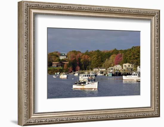 Autumn at New Harbor, Maine, USA-Michel Hersen-Framed Photographic Print
