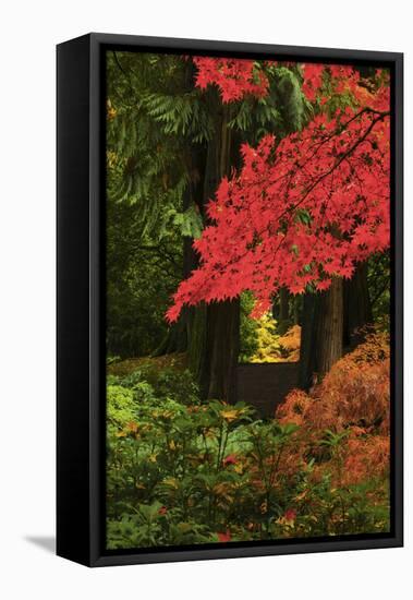 Autumn at Portland Japanese Garden, Portland, Oregon, USA-Michel Hersen-Framed Premier Image Canvas