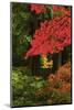 Autumn at Portland Japanese Garden, Portland, Oregon, USA-Michel Hersen-Mounted Photographic Print