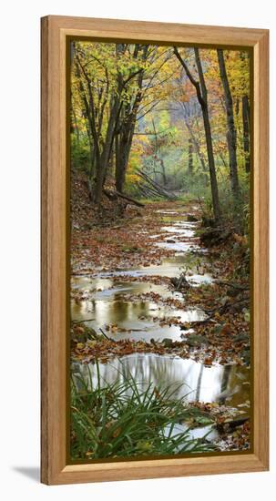 Autumn at Schuster Hollow in Grant County, Wisconsin, Usa-null-Framed Premier Image Canvas
