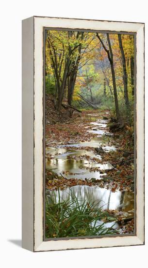 Autumn at Schuster Hollow in Grant County, Wisconsin, Usa-null-Framed Premier Image Canvas