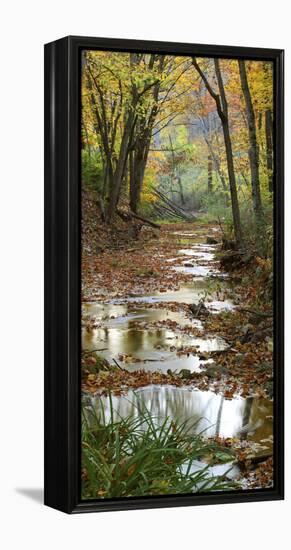 Autumn at Schuster Hollow in Grant County, Wisconsin, Usa-null-Framed Premier Image Canvas