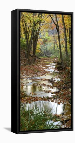 Autumn at Schuster Hollow in Grant County, Wisconsin, Usa-null-Framed Premier Image Canvas