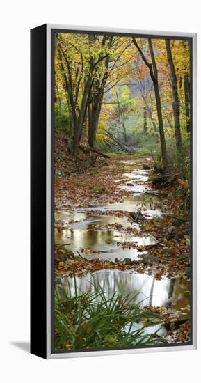 Autumn at Schuster Hollow in Grant County, Wisconsin, Usa-null-Framed Premier Image Canvas