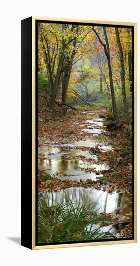 Autumn at Schuster Hollow in Grant County, Wisconsin, Usa-null-Framed Premier Image Canvas