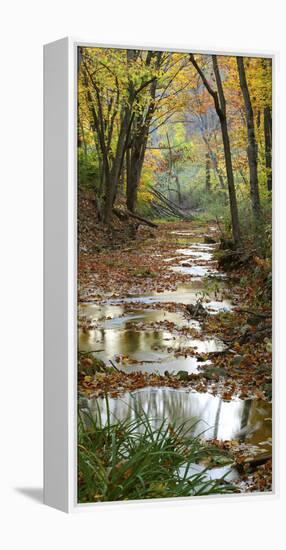 Autumn at Schuster Hollow in Grant County, Wisconsin, Usa-null-Framed Premier Image Canvas