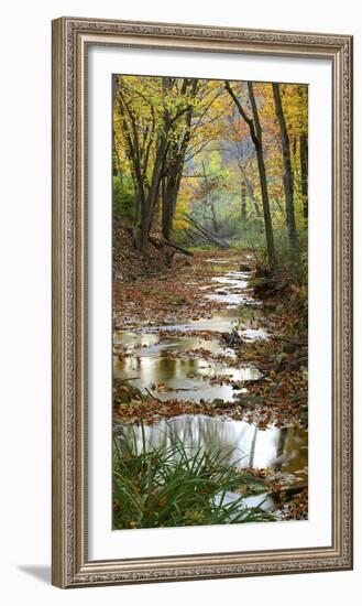Autumn at Schuster Hollow in Grant County, Wisconsin, Usa-null-Framed Photographic Print