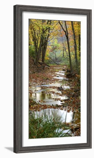 Autumn at Schuster Hollow in Grant County, Wisconsin, Usa-null-Framed Photographic Print