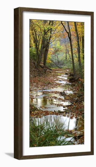 Autumn at Schuster Hollow in Grant County, Wisconsin, Usa-null-Framed Photographic Print