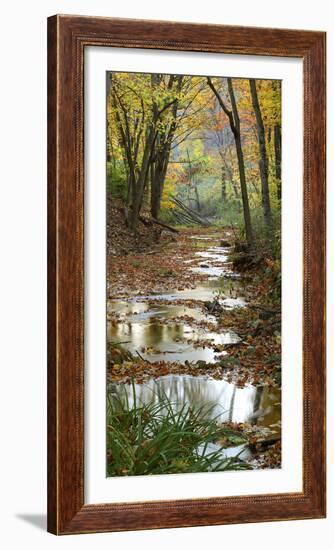 Autumn at Schuster Hollow in Grant County, Wisconsin, Usa-null-Framed Photographic Print