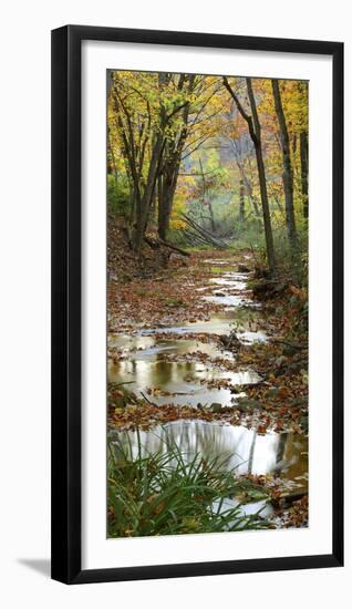 Autumn at Schuster Hollow in Grant County, Wisconsin, Usa-null-Framed Photographic Print