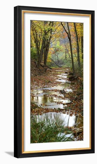 Autumn at Schuster Hollow in Grant County, Wisconsin, Usa-null-Framed Photographic Print