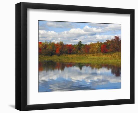 Autumn at Sebago Lake State Park, Raymond, Maine, USA-Michel Hersen-Framed Photographic Print