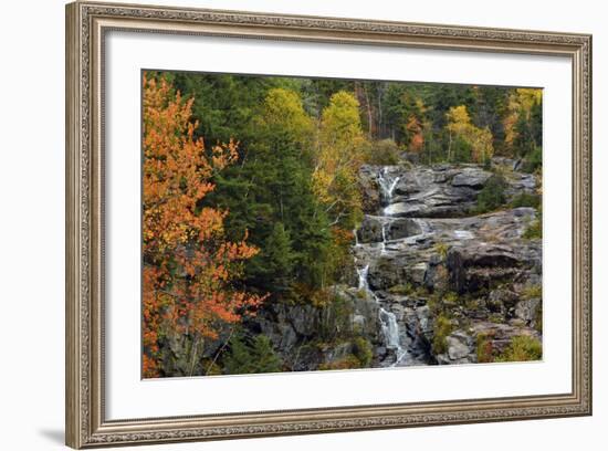 Autumn at Silver Cascade, Crawford Notch SP, New Hampshire, USA-Michel Hersen-Framed Photographic Print