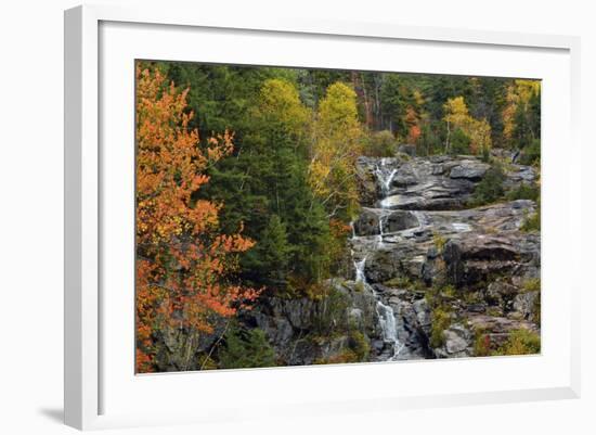 Autumn at Silver Cascade, Crawford Notch SP, New Hampshire, USA-Michel Hersen-Framed Photographic Print