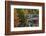 Autumn at Silver Cascade, Crawford Notch SP, New Hampshire, USA-Michel Hersen-Framed Photographic Print