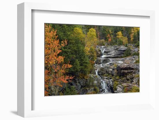 Autumn at Silver Cascade, Crawford Notch SP, New Hampshire, USA-Michel Hersen-Framed Photographic Print