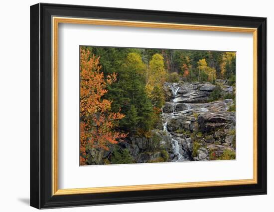 Autumn at Silver Cascade, Crawford Notch SP, New Hampshire, USA-Michel Hersen-Framed Photographic Print