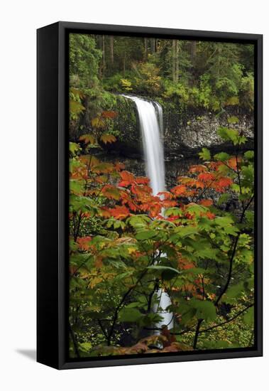 Autumn at South Falls, Silver Falls State Park, Oregon, USA-Michel Hersen-Framed Premier Image Canvas