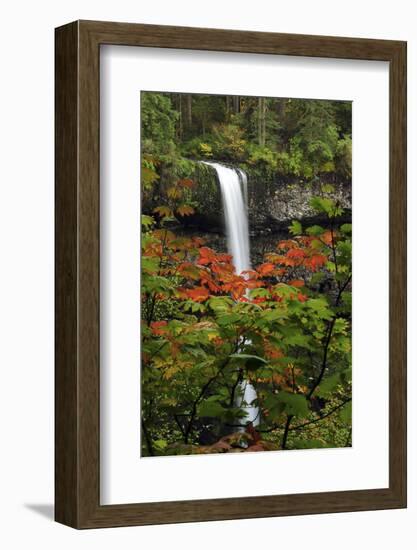 Autumn at South Falls, Silver Falls State Park, Oregon, USA-Michel Hersen-Framed Photographic Print