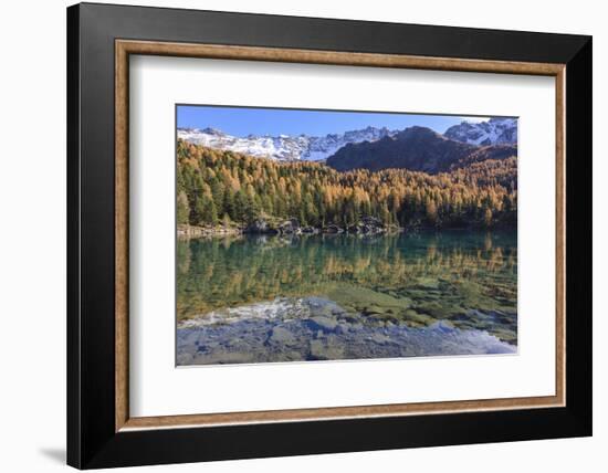 Autumn at the Lago Di Saoseo, Switzerland-Marco Isler-Framed Photographic Print