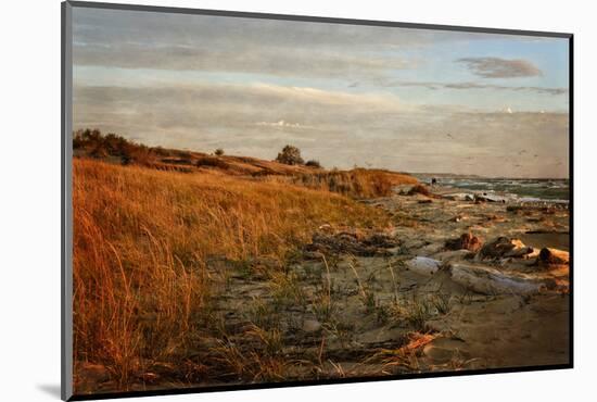 Autumn At The Mouth Of The Big Sable-Michelle Calkins-Mounted Photo