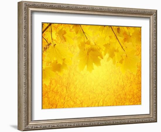 Autumn Background-frenta-Framed Art Print