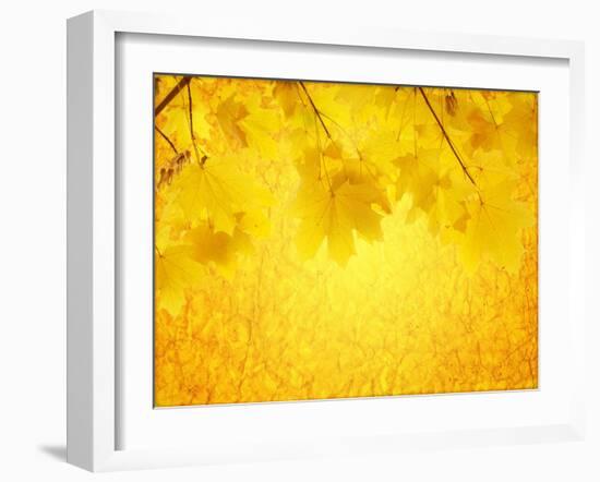 Autumn Background-frenta-Framed Art Print