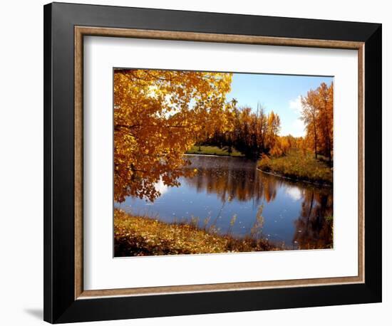 Autumn Beauty-Ruth Palmer-Framed Art Print