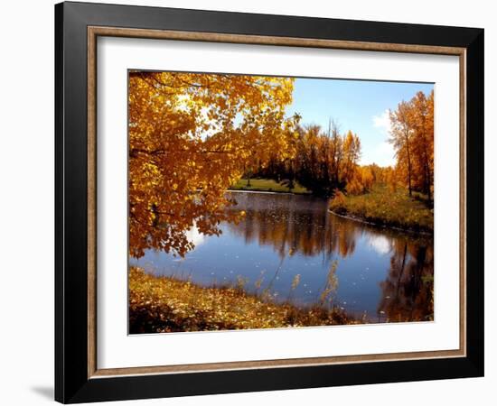 Autumn Beauty-Ruth Palmer-Framed Art Print