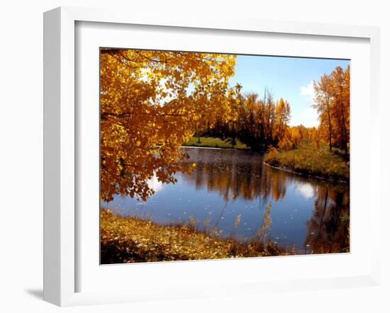 Autumn Beauty-Ruth Palmer-Framed Art Print