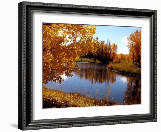 Autumn Beauty-Ruth Palmer-Framed Art Print