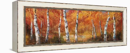 Autumn Birch I-Art Fronckowiak-Framed Stretched Canvas