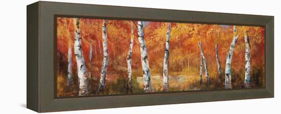 Autumn Birch I-Art Fronckowiak-Framed Stretched Canvas