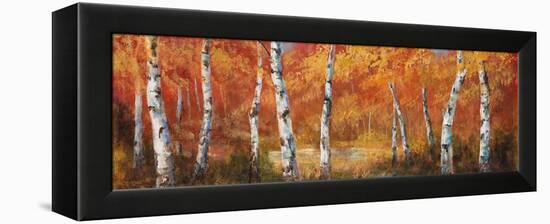 Autumn Birch I-Art Fronckowiak-Framed Stretched Canvas