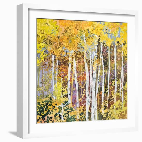 Autumn Birches III-Sharon Pitts-Framed Giclee Print