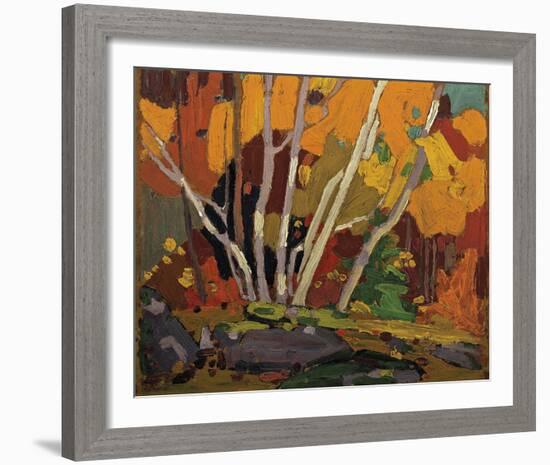 Autumn Birches-Tom Thomson-Framed Giclee Print